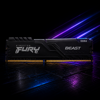 Kingston RAM